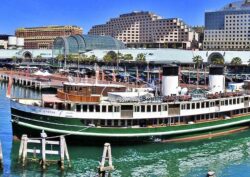 Manly Ferry at Darling Harbour Sydney Poster Print